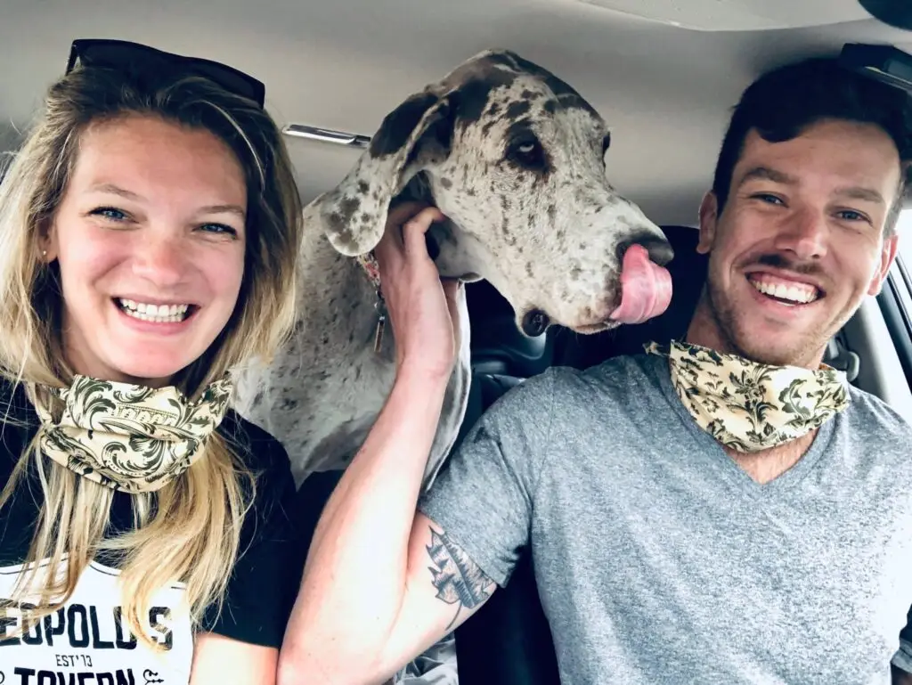 Pet travel for dogs | PetAir UK