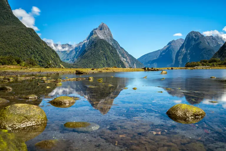 Taking pets to New Zealand | PetAir UK