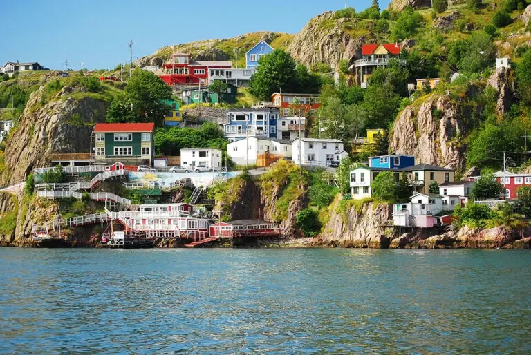 Taking pets to St-Johns | PetAir UK